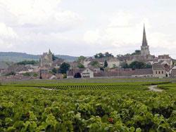 7_skarbow_Burgundia_Meursault