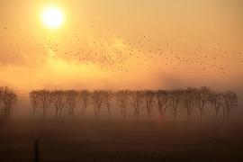 7_skarbow_Burgundia_Pommard