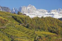 Biale_wina_z_Wloch_II_Trentino_Alto_Adige_pejzaz