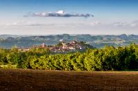 Czerwone_na_lato_Verduno