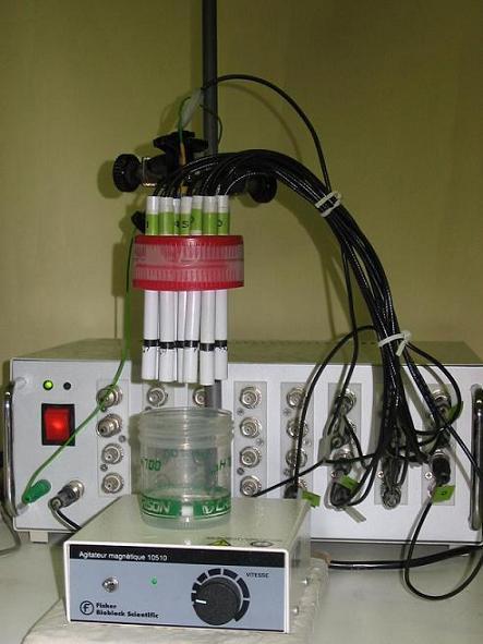 Elektroniczy_jezyk