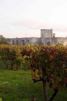 Przewodnik_Wlochy_Apulia_Leone_Castris