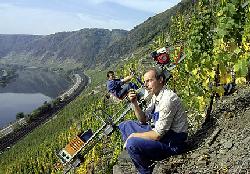 Riesling_smak_lata_pracownicy