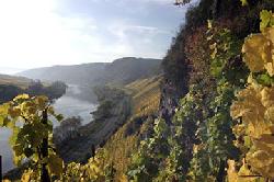 Riesling_smak_lata_widok_rzeka