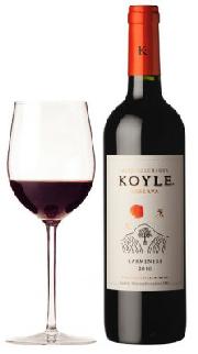 Wino_dla_piwoszy_carmenere