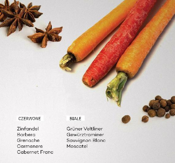 Wino_warzywa