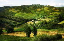 Wloskie_biale_wina_wiosna