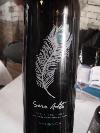 spain-saso